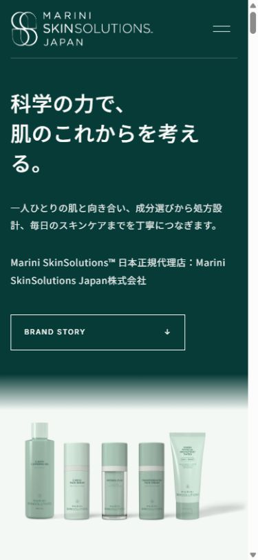 公開サイトの画面(スマホ)